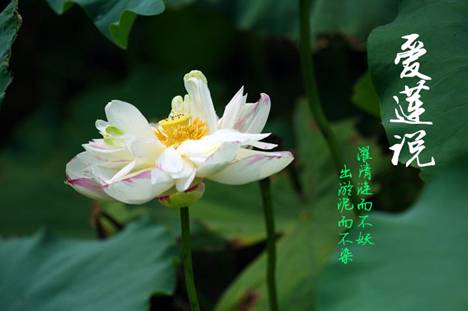 timg (1)